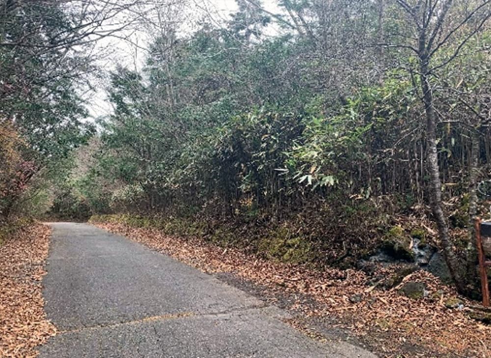 売土地　裾野市須山（十里木高原）765.00㎡（231.14坪）
