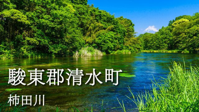 駿東郡清水町柿田川