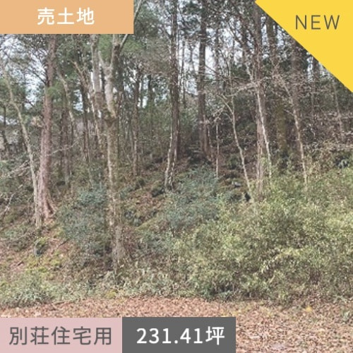 売土地　裾野市須山（十里木高原別荘地十里木6丁目）765.00㎡（231.41坪）