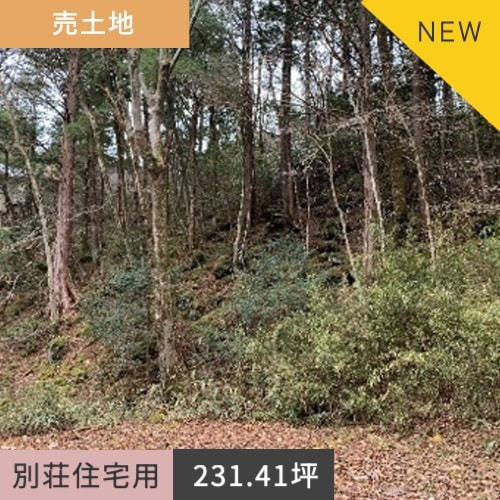 売土地　裾野市須山（十里木高原別荘地十里木6丁目）765.00㎡（231.41坪）